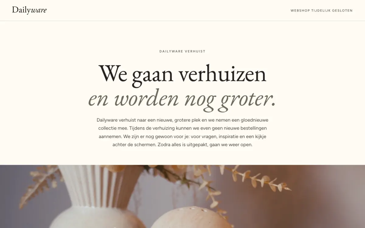 Dailyware website op laptop en telefoon